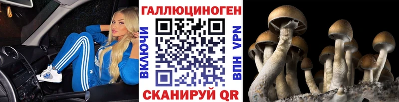 Галлюциногенные грибы MAGIC MUSHROOMS  Сясьстрой 